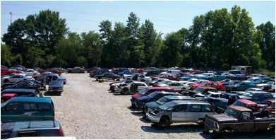 Pull A Part Cleveland Ohio >> U Pull It Auto Parts Pull A Part Cleveland Ohio >> U Pull It Auto Parts